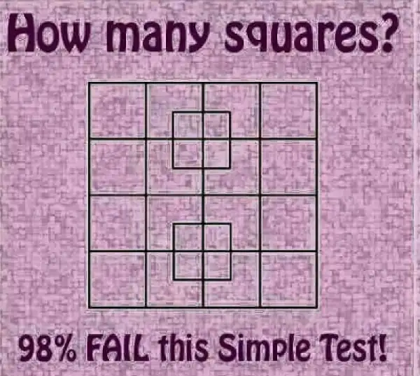 How Many Squares Are In This Image?